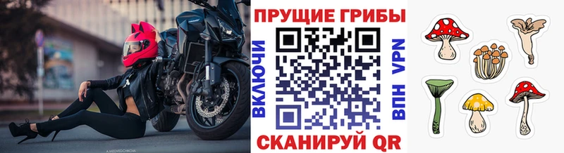 Псилоцибиновые грибы мухоморы  продажа наркотиков  Шацк 